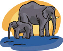 Слон - долгожитель среди животных