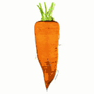 Морковка от колита